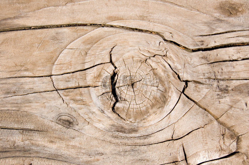 圆结木板木匠控制板粮食松树圆圈工匠精神建造裂缝戒指图片