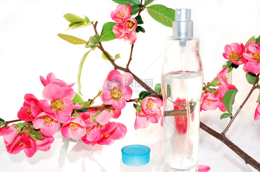 香水和玫瑰凝胶光环卫生洗澡泡沫福利个性香脂瓶子肥皂图片