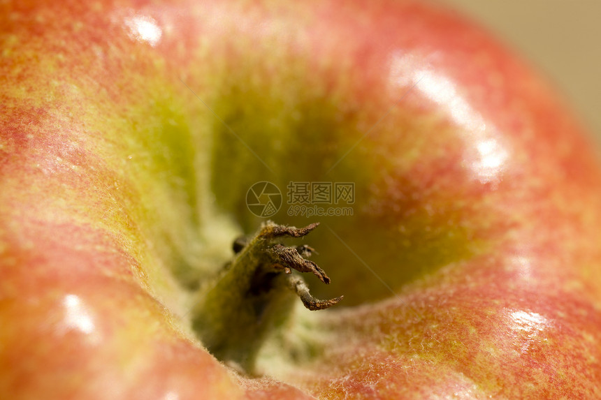 苹果核心宏农业对象生活方式宏观黄色食物种子绿色节食水果图片