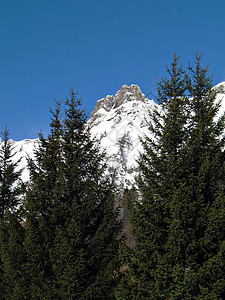 雪峰和冰山卢靖姗人皮交易高清图片