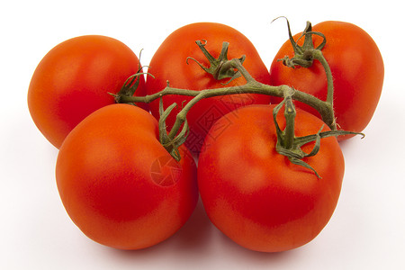 5个番茄背景图片