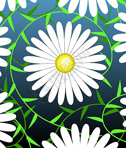 白花花植物花园丛林花瓣卷曲插图植物群纠纷树叶白色插画