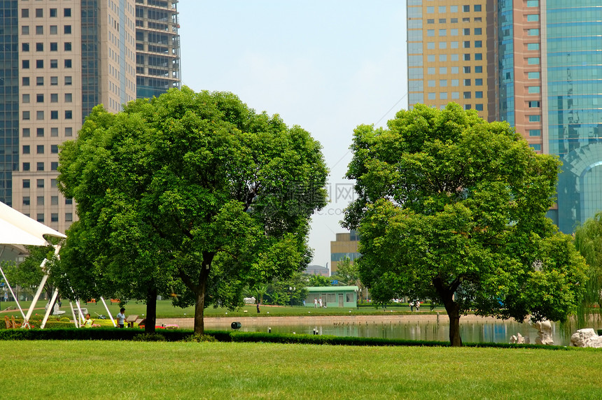 建筑背景的树丛图片