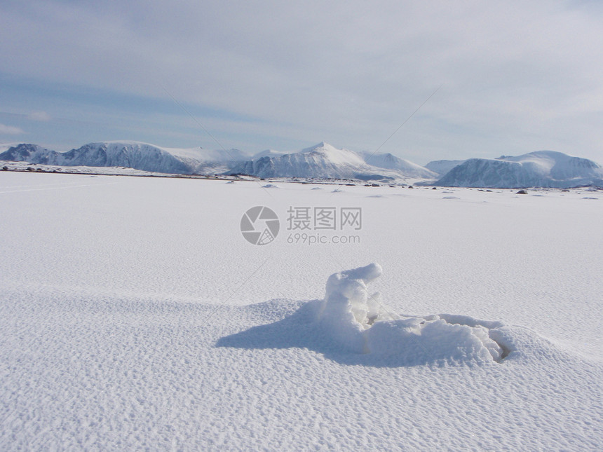 雪白色图片