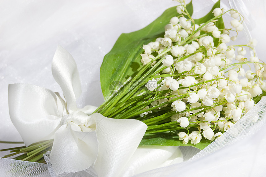 婚礼花束百合亮度织物荒野礼物叶子宏观香水植物季节图片