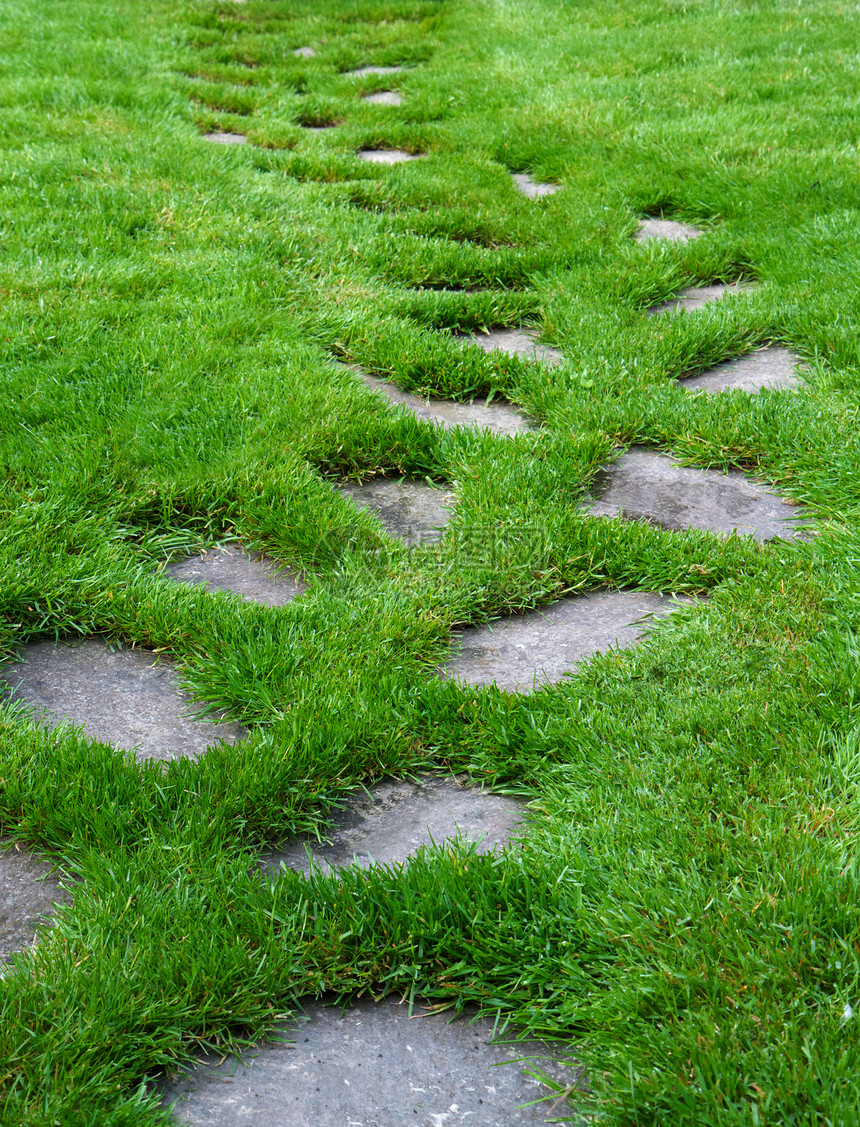 石石路径草地途径旅行后院地面农村小路院子花园曲线图片