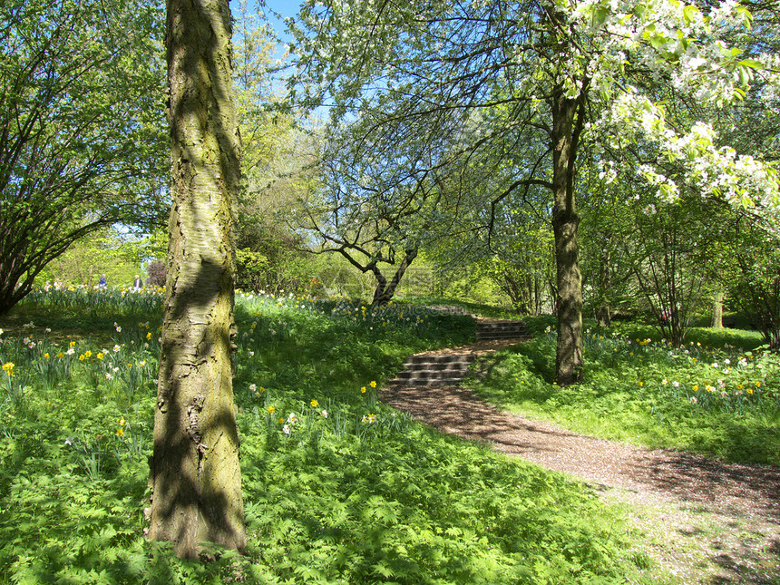 乐园是泉源的乐园活力树木脚步绿色自然晴天小路人行道植物图片