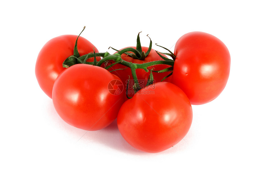 新鲜红番茄花园沙拉蔬菜绿色植物白色食物圆形红色图片