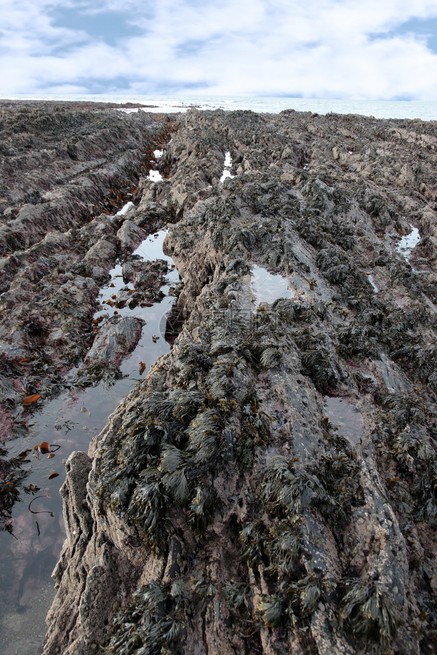 黑岩池海藻地平线图片