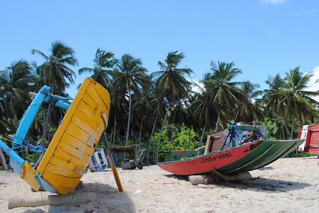 木筏海滩背景图片