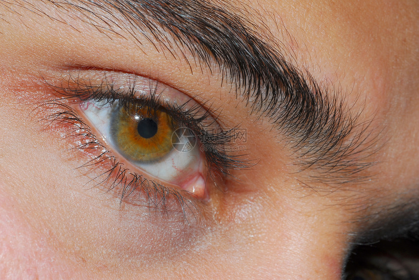 Hazel 眼睛化妆品眼科血管眼皮眼球催眠玻璃奇观眼镜眉毛图片