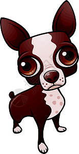 波士顿梗犬可爱的小狗狗小狗卡通片插图哺乳动物宠物犬类绘画插画