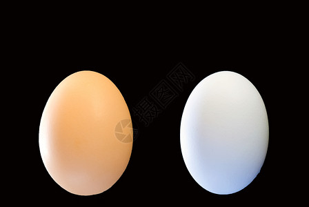 两个蛋棕色黑色早餐白色蛋架背景鸡蛋高清图片
