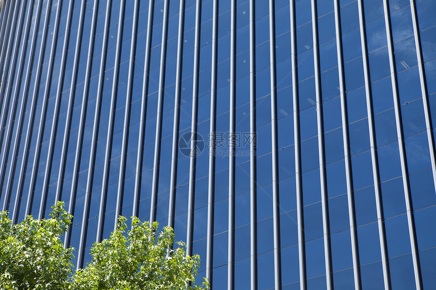 摩天大楼生活叶子工作中心景观反射房子城市建筑物财产图片