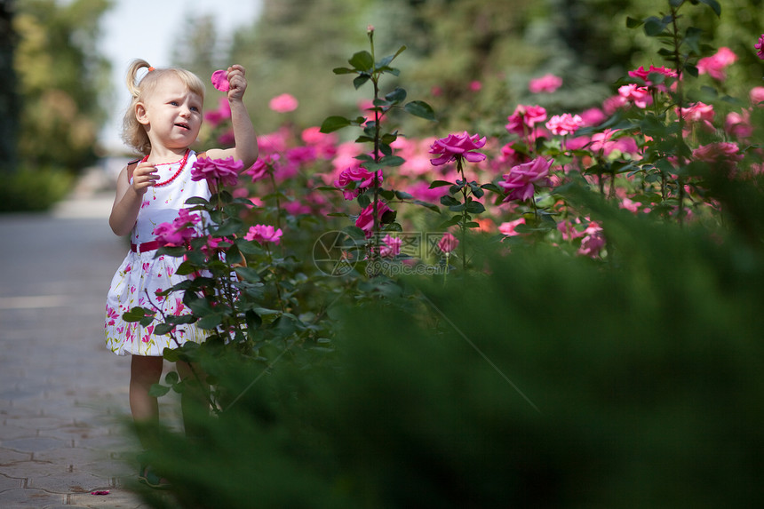 女孩在公园的女孩喜悦裙子孩子季节金发微笑美丽玫瑰叶子幸福图片