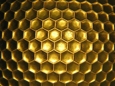 蜜蜂蜂窝蜂巢杂技蜜糖蜂蜜金子背景图片