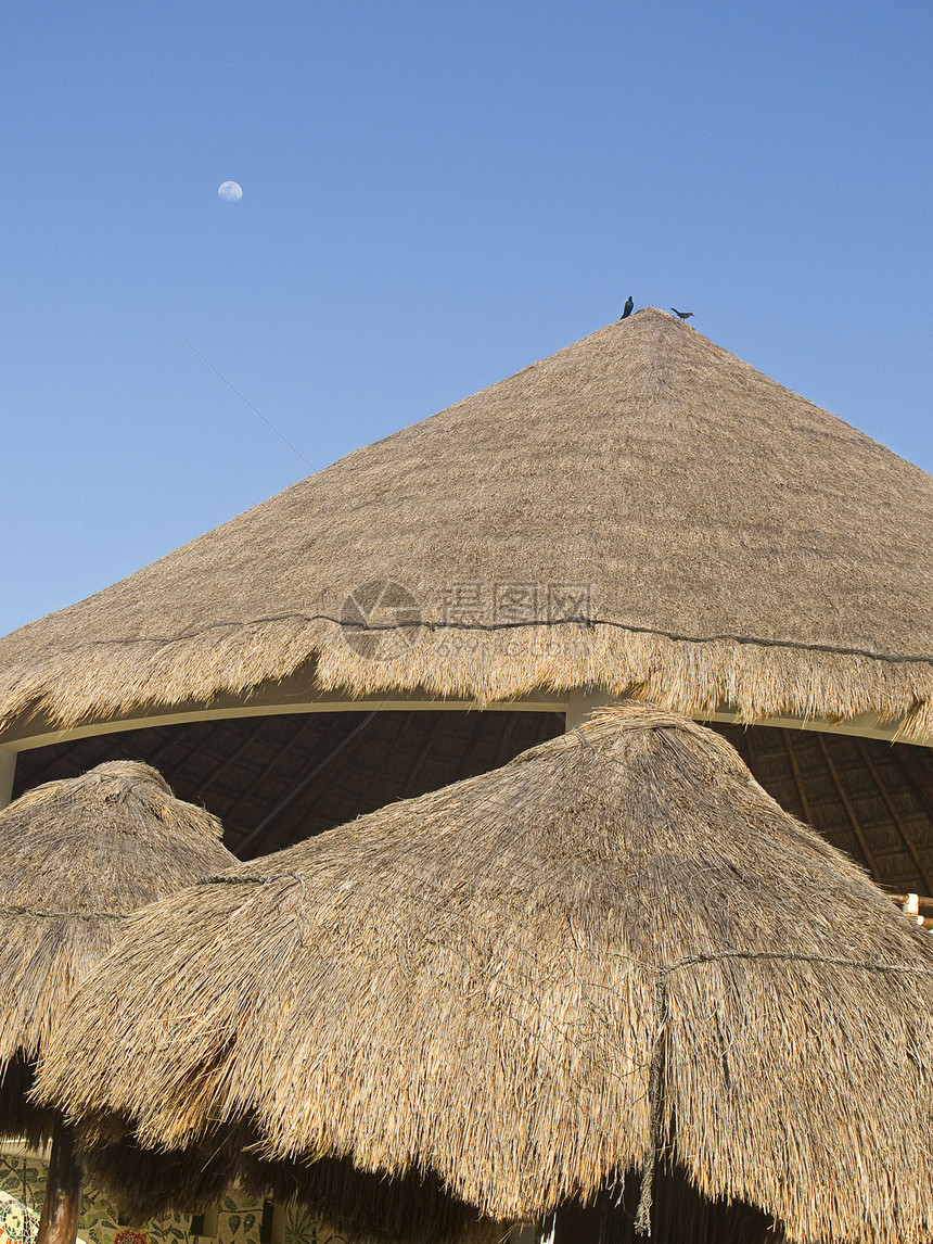 墨西哥草屋顶热带茅草旅行餐厅别墅气候建筑木头海岸假期图片