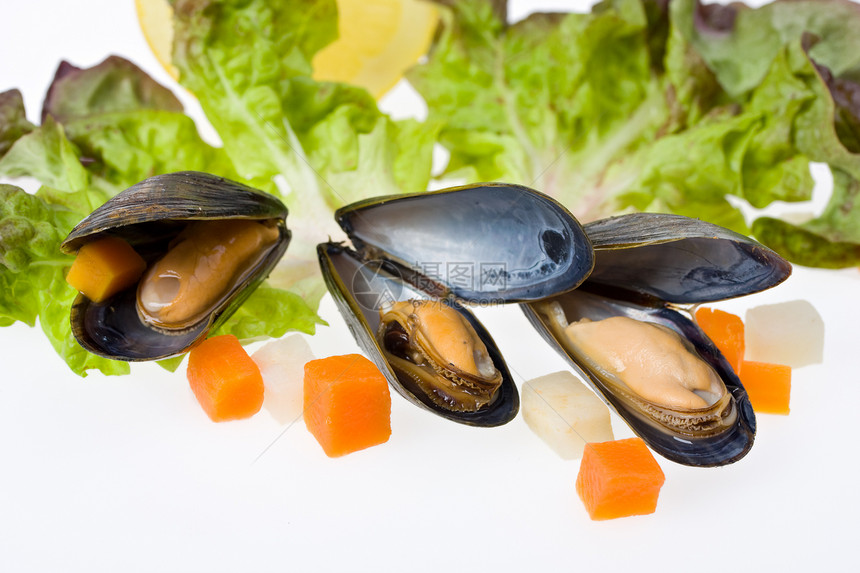 白背景的熟制开放蓝贝贝类营养翻盖动物海鲜午餐食物烹饪盘子甲壳芹菜图片