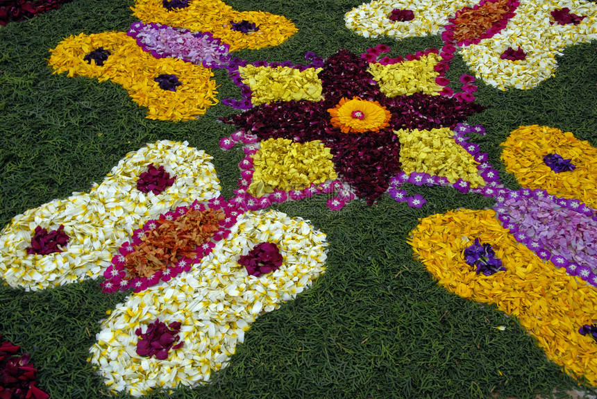 玫瑰花瓣的瓦斯蒂卡兰戈利装饰品艺术花园创造力情人投标园艺花朵手工业图片