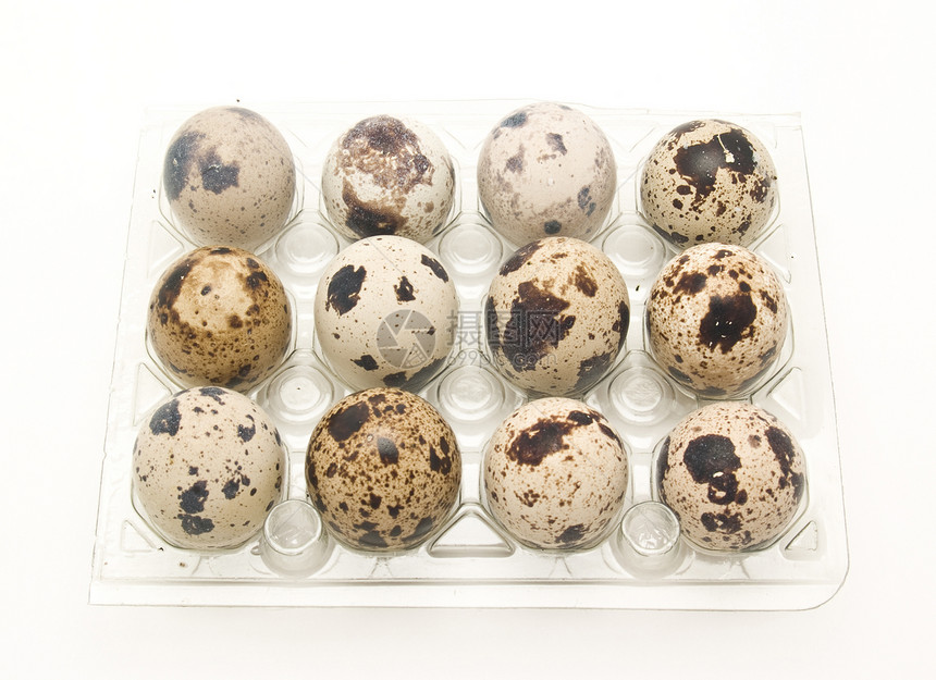 蛋鹧鸪棕色木头脆弱性团体产品饮食食物早餐熟食图片