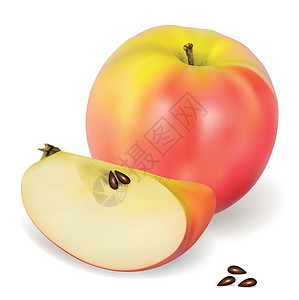 苹果种子苹果粉花插画