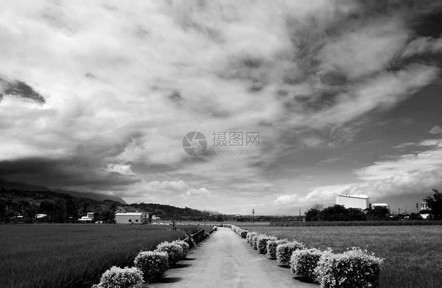 一条横跨农场的公路场地风景国家草地荒野草原生长场景旅行农村图片