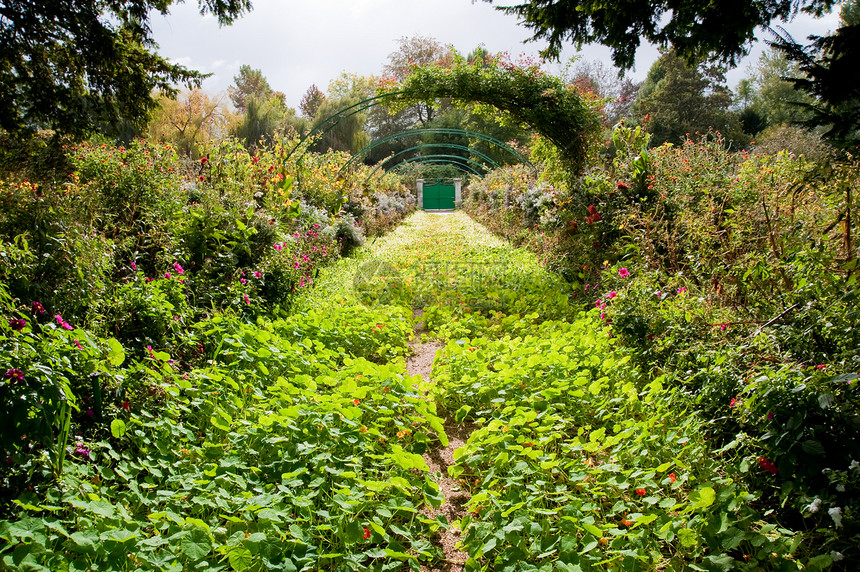 莫内花园印象派花园艺术家地标植物群季节植物学图片