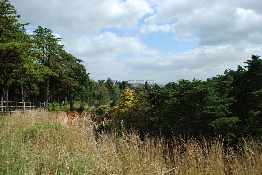 里斯本蒙桑托公园景观木头公园环境绿色生长黄色叶子森林美丽树木图片