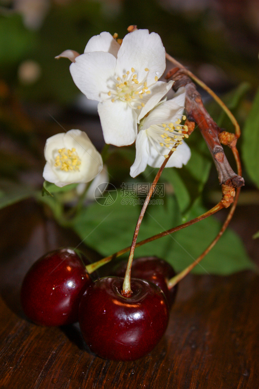 樱桃茶点食品水果浆果红色团体叶子养分图片
