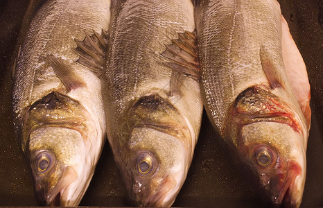 3个海贝鱼眼栖息市场眼睛海鲜低音食物内脏白鱼餐厅高清图片