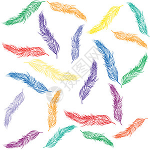 彩色羽毛边界曲线白色插图叶子背景图片