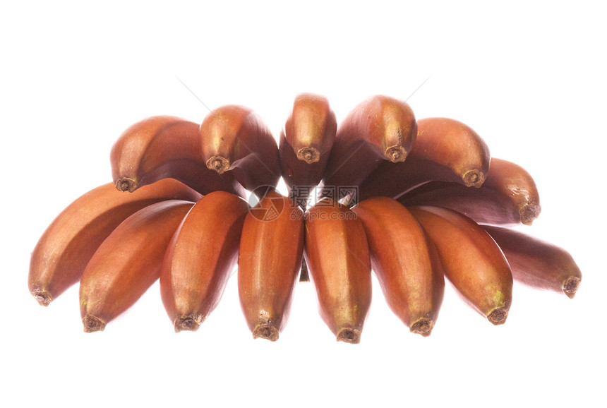 孤立的红香蕉红色营养小吃宏观市场水果饮食植物甜点热带图片