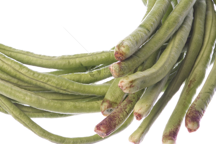 长绿豆孤立植物饮食绿色青菜农业营养豆子食物蔬菜宏观图片