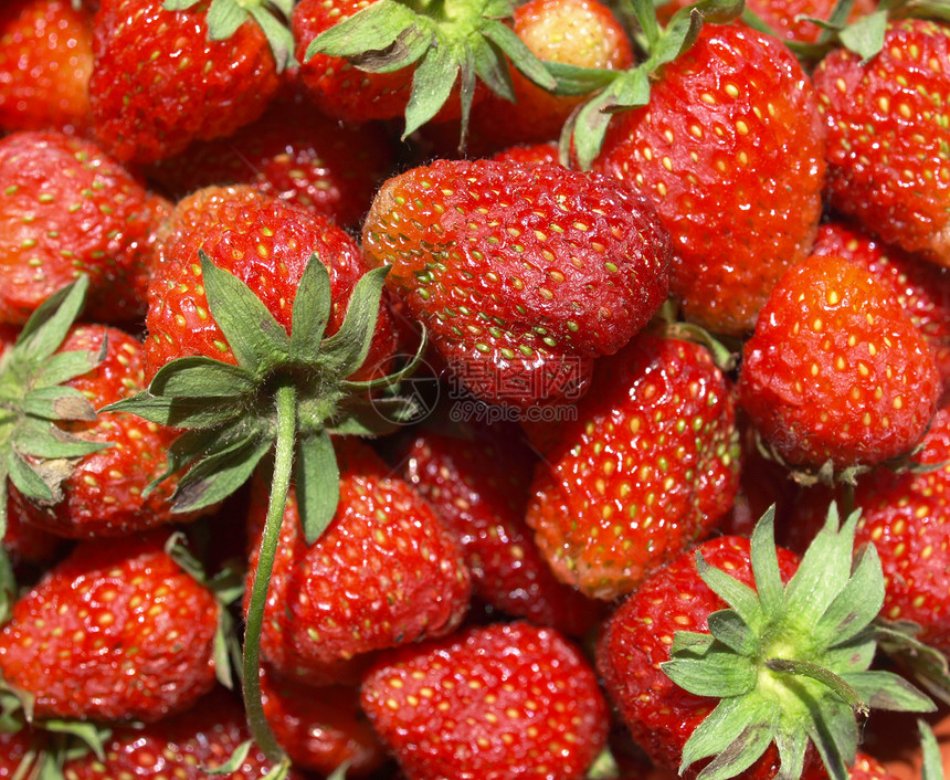 草莓食物美食饮食营养红色水果午餐图片