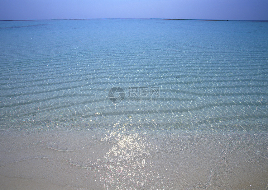 热带热带视图海滩海景图片