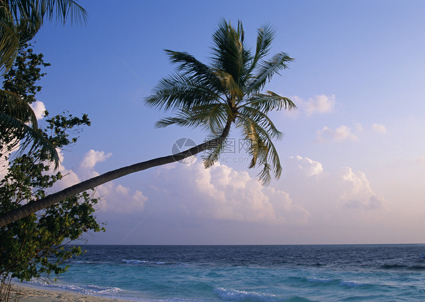 热带热带视图海景海滩图片