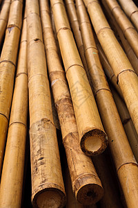 带剪断的竹条模式木头建造枝条风格装饰宏观管道绑定植物线条背景图片