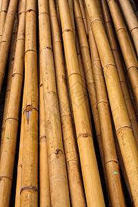 带竹子素材带剪断的竹条模式风格圆形材料建造植物线条装饰黄色木头热带背景
