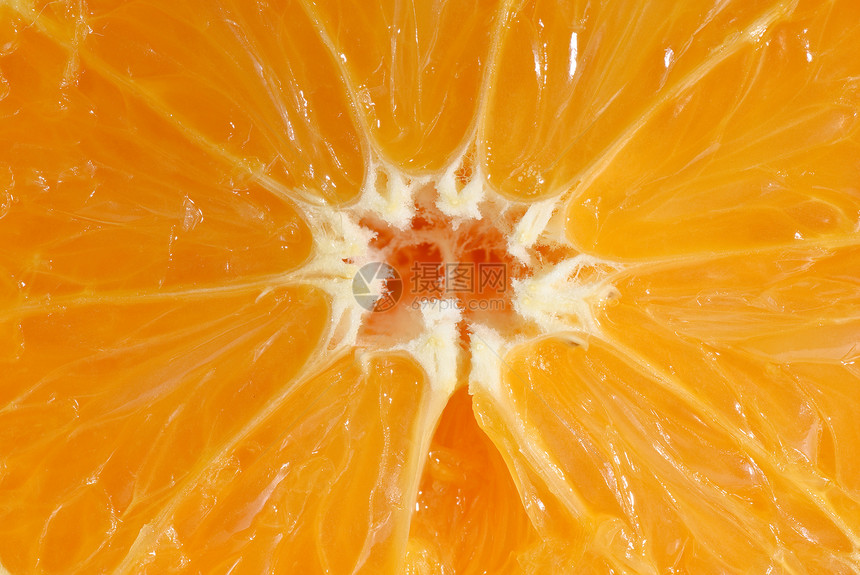 橙子结果图片