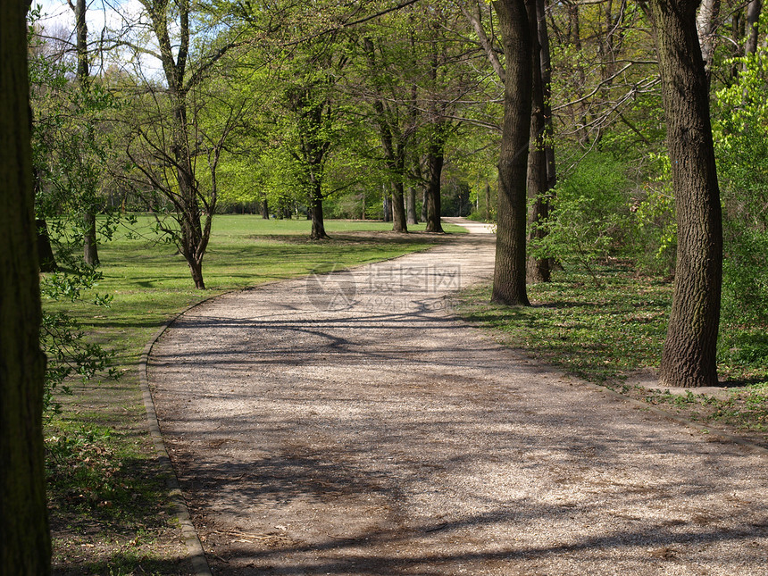 柏林Tiergarten公园全景城市地标绿色树木公园植被中心建筑学草地图片