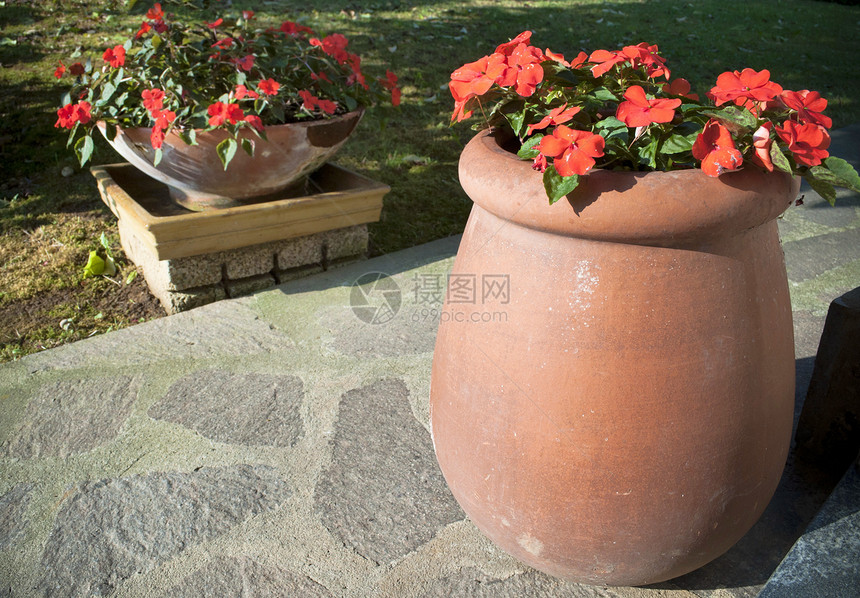 花园花瓶红色植物绿色白色花盆植物群橙子园艺植物学自然图片