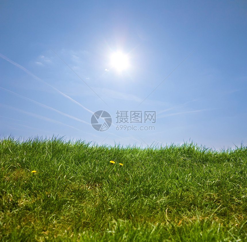 青草 蓝天空院子季节场地天空农业地平线场景阳光蓝色植物图片