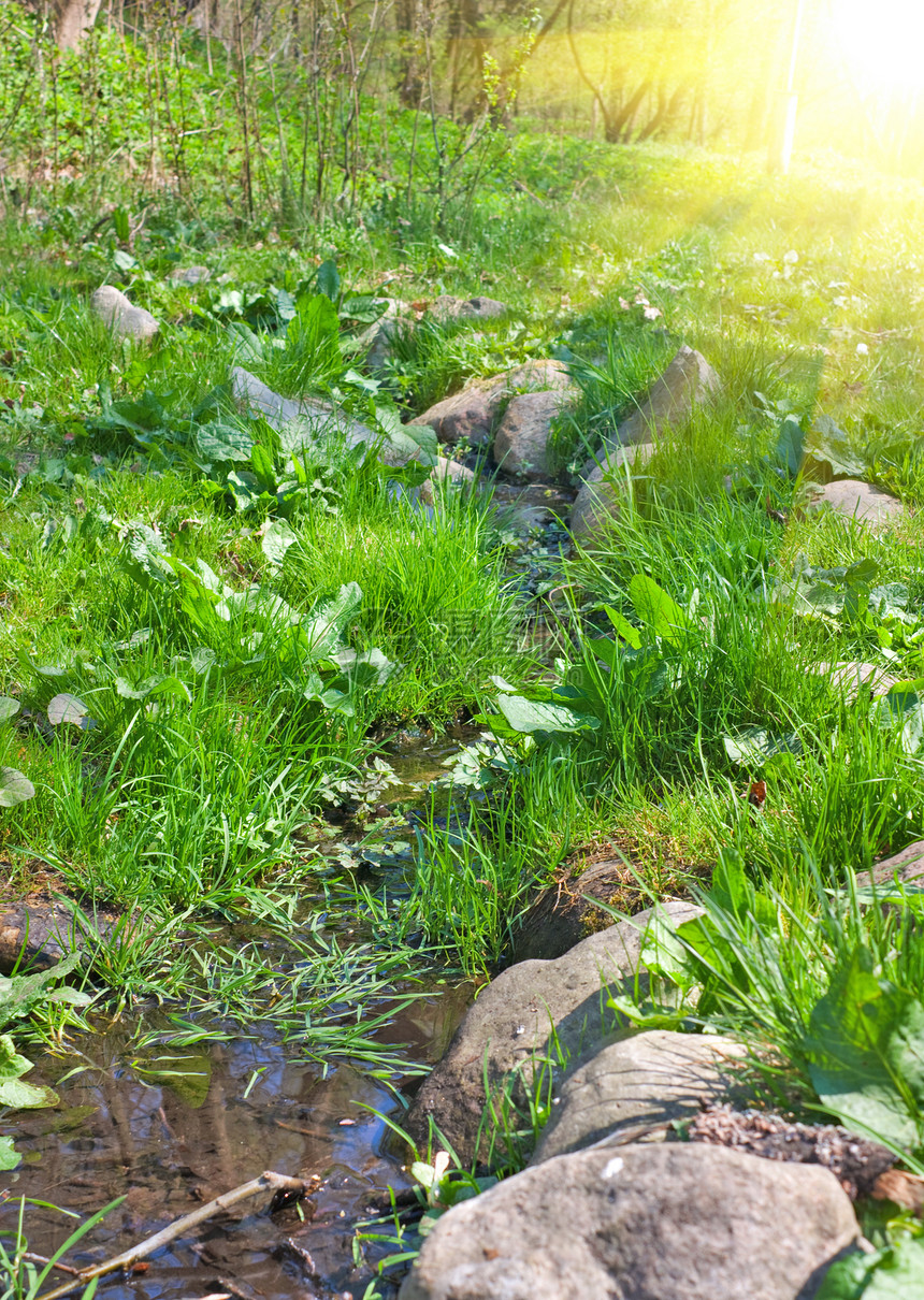 春溪运动植物禅意地衣苔藓溪流岩石瀑布场景季节图片
