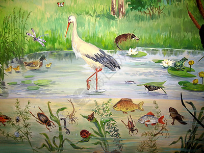 3d动物画池塘动物动物学艺术野生动物植物动物群甲虫生活收藏植物群青蛙背景