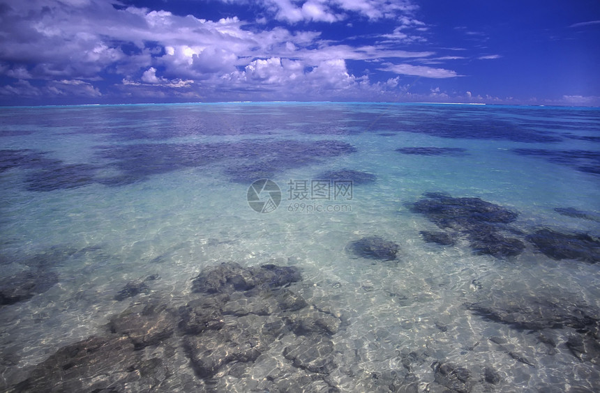 Moorea 湖环保护海景树叶海岸线叶子海浪天堂热带假期旅行图片