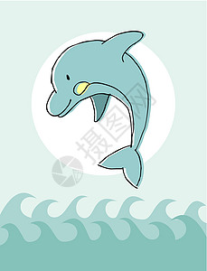 动物系列 海豚背景图片