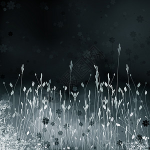 夜间草地背景图片