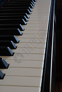 钢琴键歌曲白色工具笔记爵士乐象牙键盘艺术音乐家背景图片