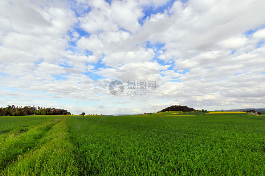 春天的田地蓝天乡村生长农业图片