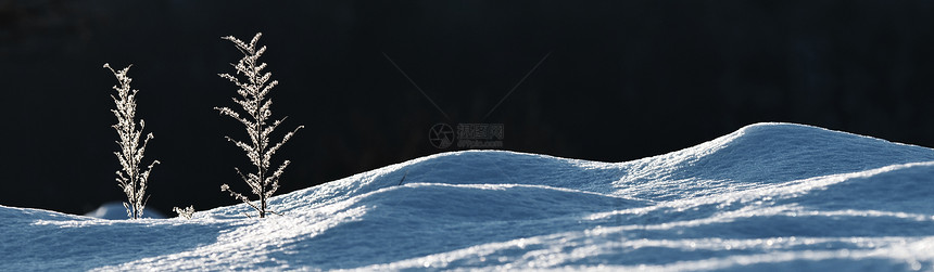 风引发积雪的全景观光图图片